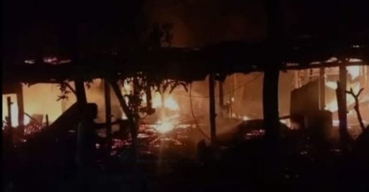 নবাবগঞ্জে ভয়াবহ অগ্নিকাণ্ডে প্রাণহানি, পুড়ে গেল ১১টি বাড়ি ও ৭ গরু